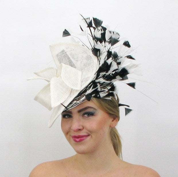 Ribbon & Feathers