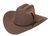 rancher