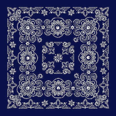 navy 27x27