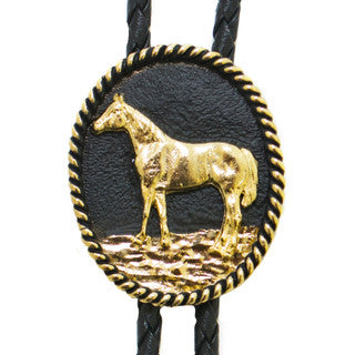 bolo ~ horse