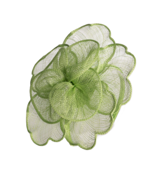sinamy peony ~ lime