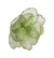 sinamy-peony-lime