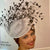 feather-swirl-black-amp-white