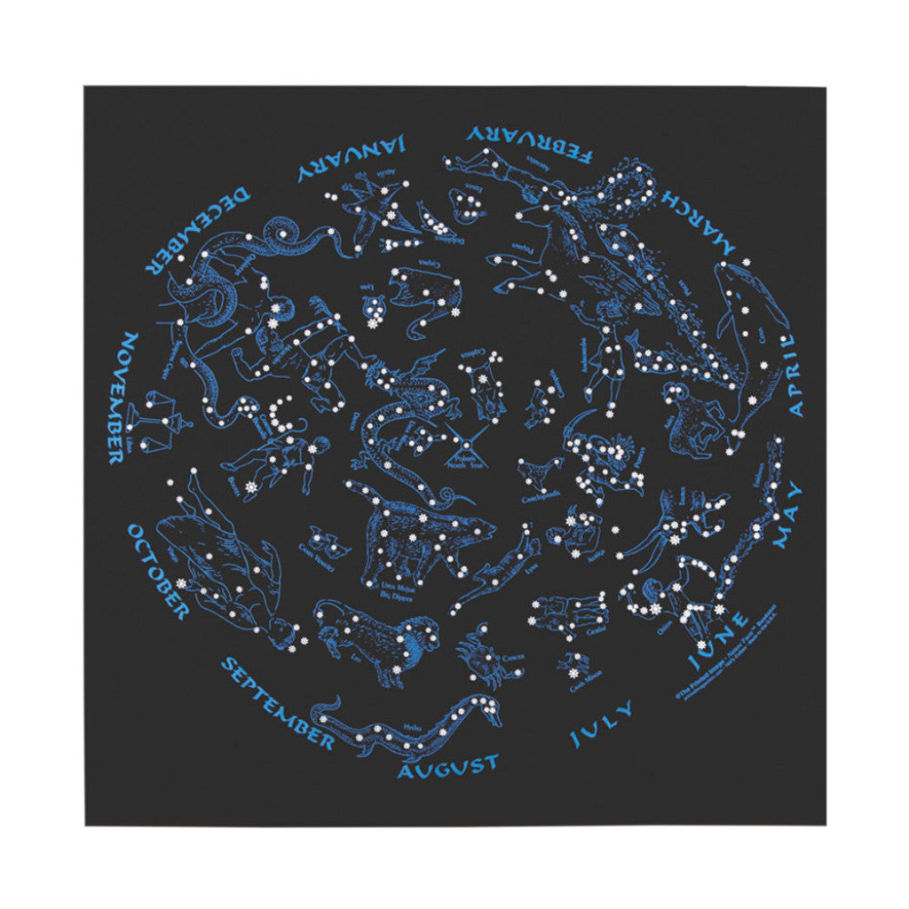 BANDANA ~  stars