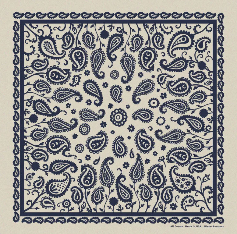 BANDANA ~ paisley supernova