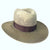 quot-plum-dandy-quot-7-1-4